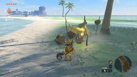 TotK - Korok Seed x2