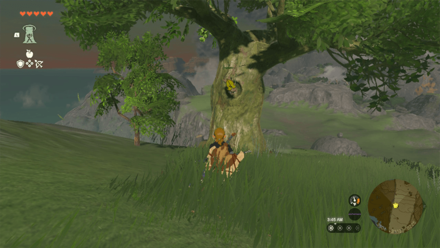 TotK - Korok Seed