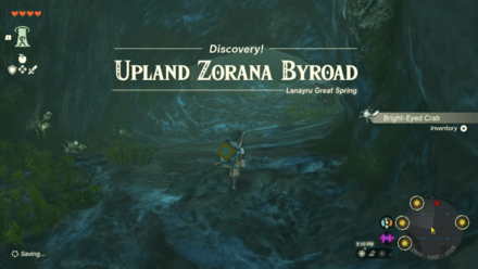 Upland Zorana Byroad Entrance Overworld Image