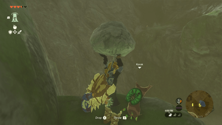 TotK - Korok Seed