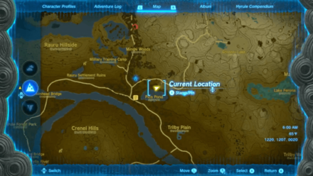 Zelda TotK - Pico Pond Map