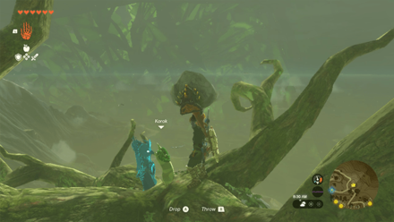 TotK - Korok Seed