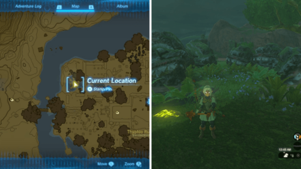 TOTK - The Six Dragons Location.png