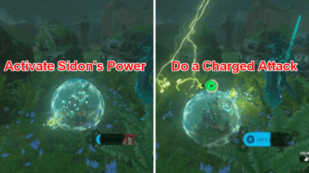 TOTK - The Six Dragons Sidon