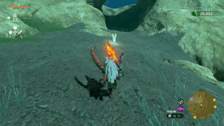 Zelda TotK Follow Blupees