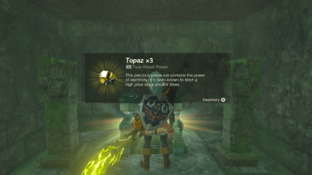 TOTK - The Long Dragon Reward