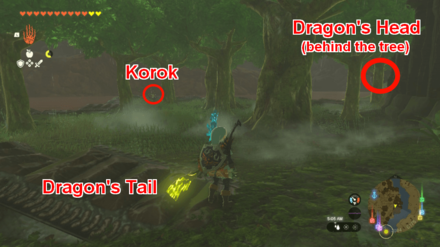 TOTK - The Long Dragon Location