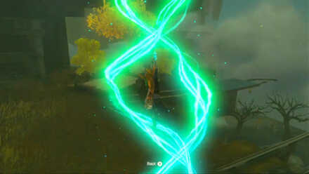 Zelda Tears of the Kingdom TotK - Using Ascend near the rail track