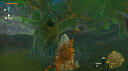 TotK - Korok Seed