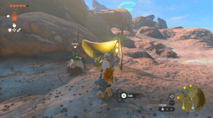 TotK - Korok Seed x2