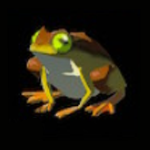 Legend of Zelda TOTK Tireless Frog