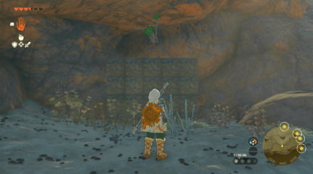 TotK - Korok Seed