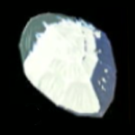 Legend of Zelda TOTK Naydra