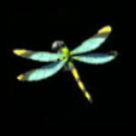 Legend of Zelda TOTK Electric Darner