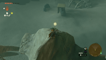 TotK - Korok Seed