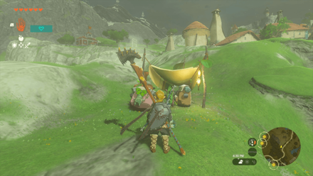 TotK - Korok Seed x2