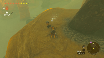 TotK - Korok Seed