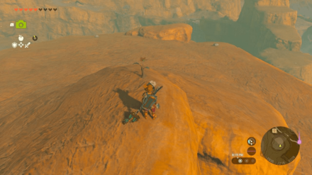 TOTK - Wetland Stable Korok Seed