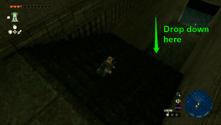 Zelda Tears of the Kingdom TotK Proceeding to the Boss Area