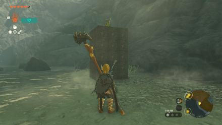 TotK - Korok Seed