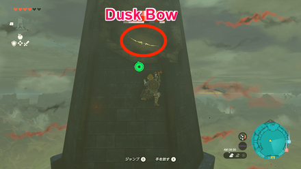 Zelda TotK - Hyrule Castle Dusk Bow