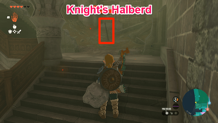 Zelda TotK - Hyrule Castle Knight