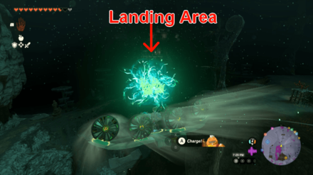 Zelda Tears of the Kingdom TotK - A Call from the Depths Fly