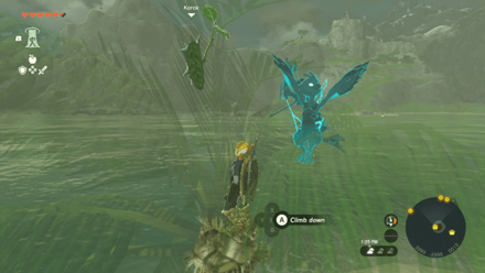 TotK - Korok Seed