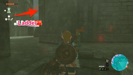Zelda TotK - Hyrule Castle Ladder