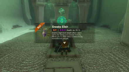 Zelda TotK Sinatanika Shrine Sneaky Elixir