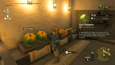 Zelda TotK - Purchase at the Hateno General Store