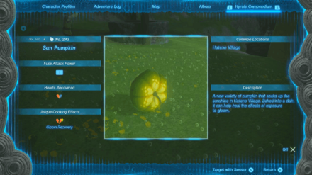 Zelda TotK - Take a Photo to Add the 243rd Hyrule Compendium Entry