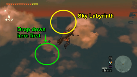 Zelda Tears of the Kingdom TotK Use the Pikida Stonegrove Skyview Tower