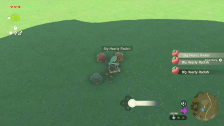 Zelda TotK - How to Duplicate Materials Step 4