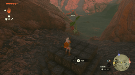 TotK - Korok Seed
