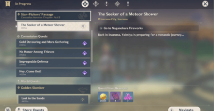 The Seeker of a Meteor Shower 1