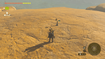 TotK - Korok Seed