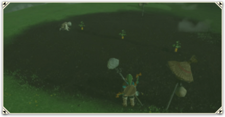 Zelda TotK - Farm Crops