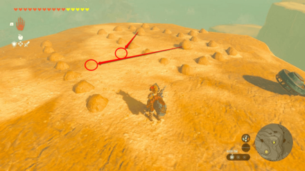 TotK - Korok Seed