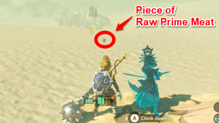 Attract Molduga with an Item or Arrow Shot