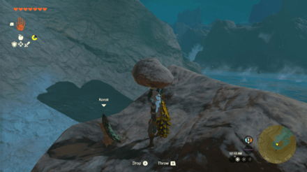 TotK - Korok Seed