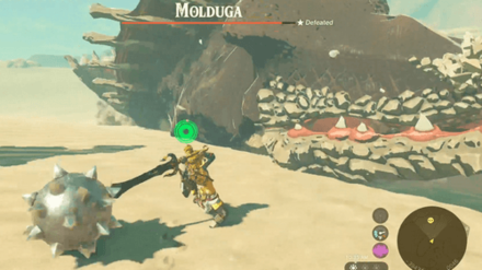 Melee Molduga While It