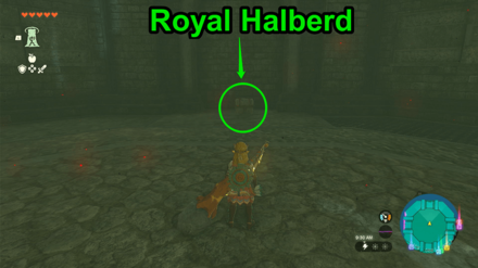 TotK - Royal Halberd World View