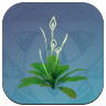 Genshin - "Greenery of Floral Waters" Image