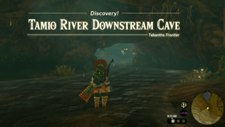 Tamio River Downstream Cave Entrance Overworld Image