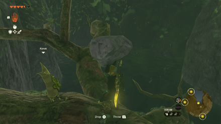 TotK - Korok Seed