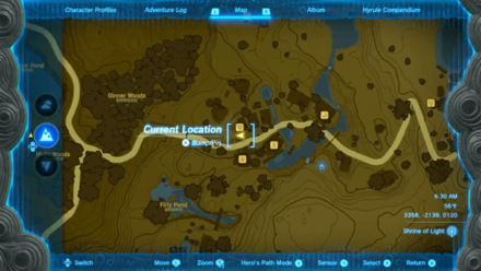 Tears of the Kingdom - Cece