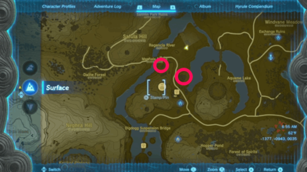 Zelda TotK - The Horse Guard