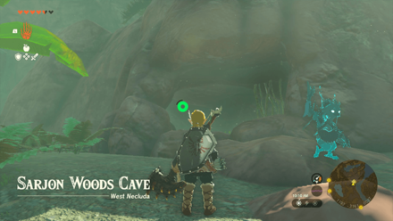 Sarjon Woods Cave Entrance Overworld Image