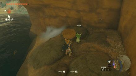 TotK - Korok Seed